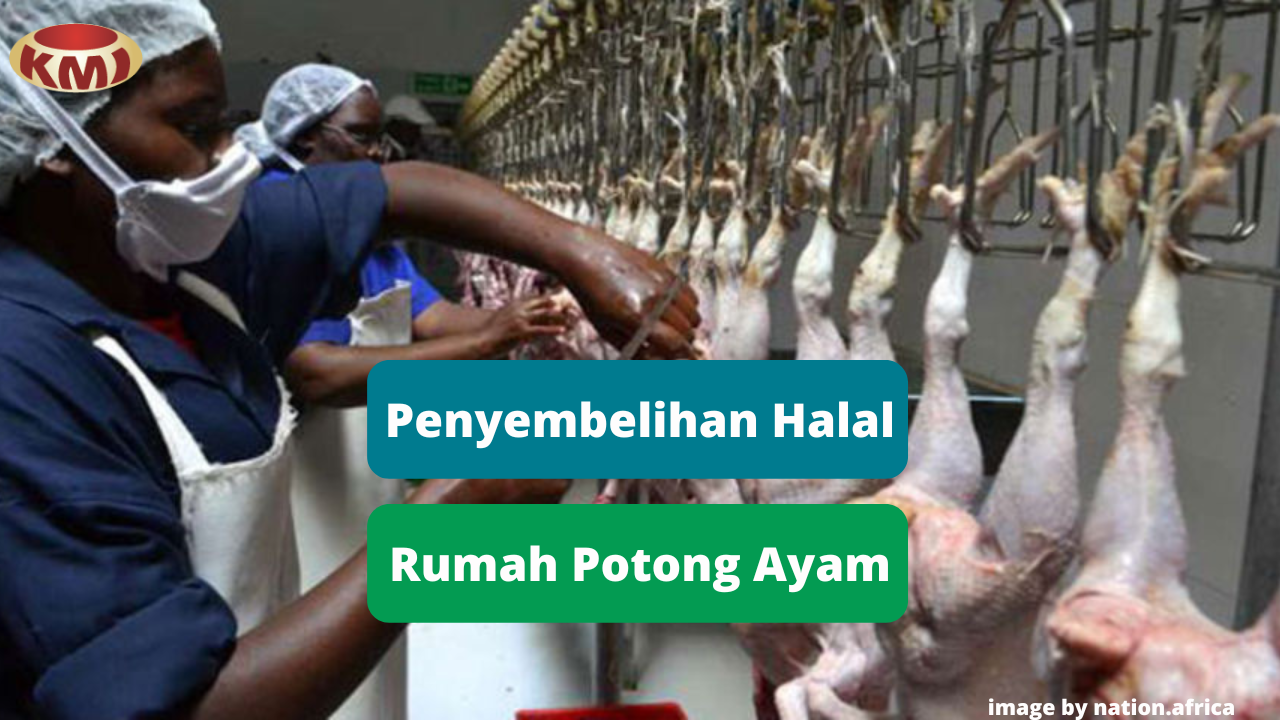 Inilah 7 Syarat Utama Penyembelihan Secara Halal di Rumah Potong Ayam (RPA)